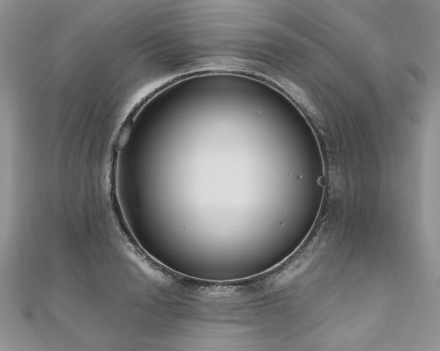 X0000110910846200906181341