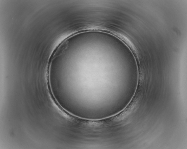 X0000110910847200906181341