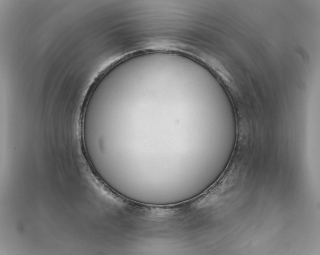 X0000110910848200906181341