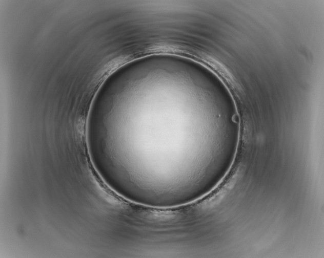 X0000110910849200906181341