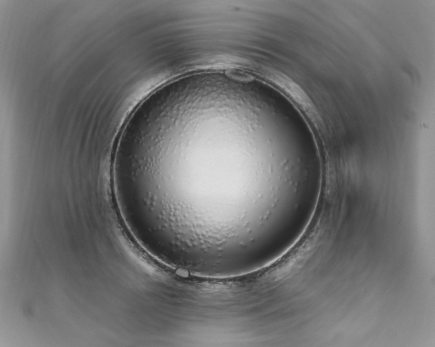 X0000110910850200906181341