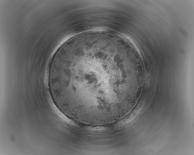 X0000110910851200906181341