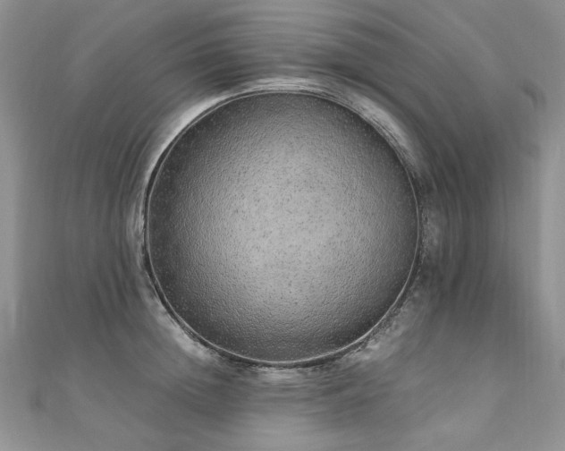 X0000110910852200906181341