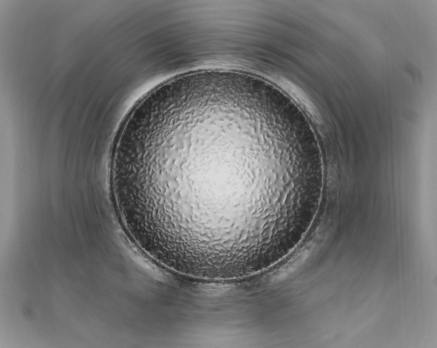 X0000110910854200906181341