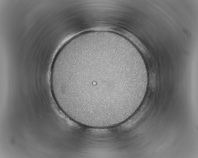 X0000110910856200906181342