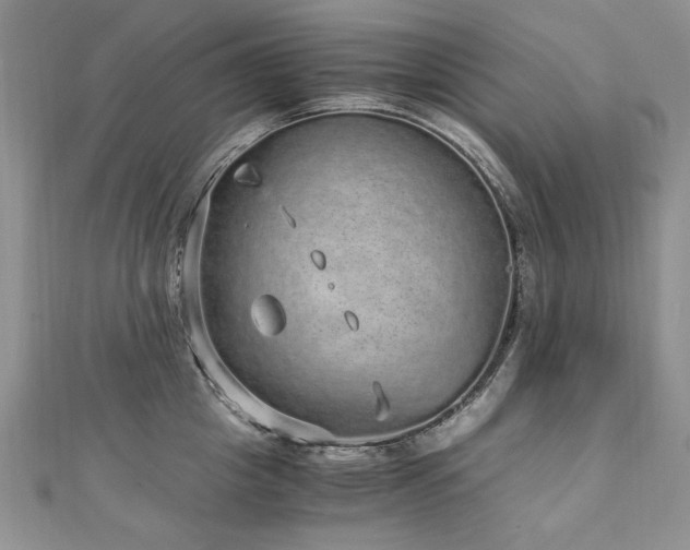 X0000110910857200906181342