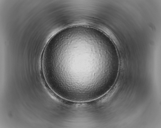 X0000110910858200906181342