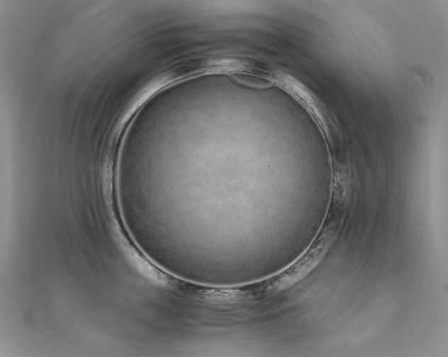 X0000110910859200906181342