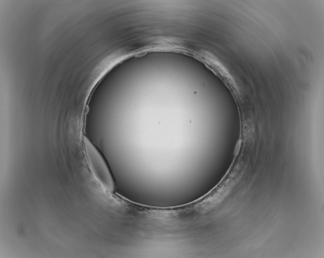 X0000110910860200906181342