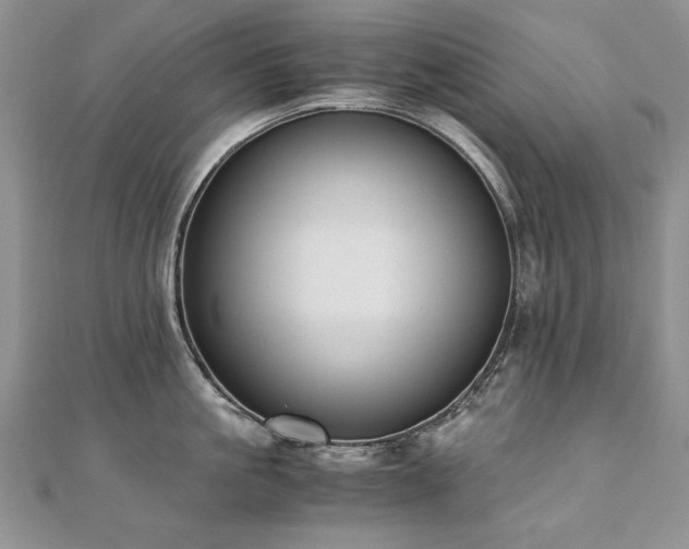 X0000110910861200906181342