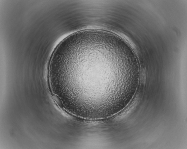 X0000110910862200906181342