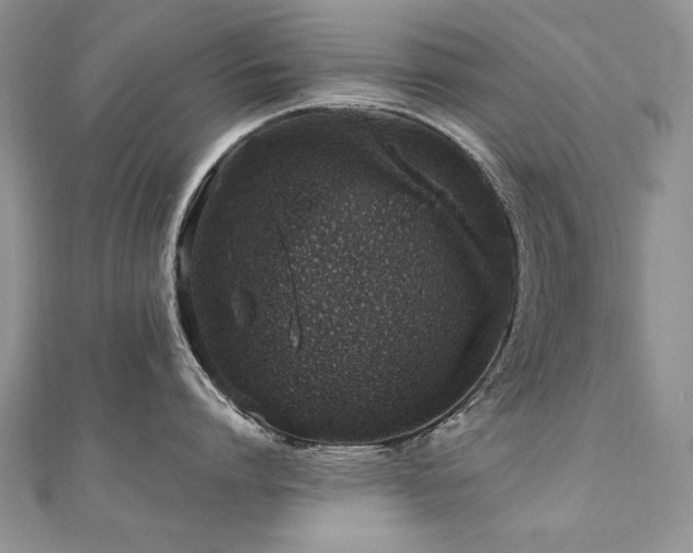 X0000110910864200906181342