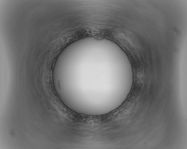 X0000110910865200906181341