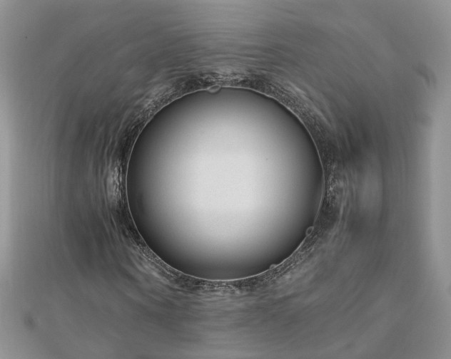 X0000110910866200906181341