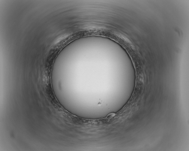 X0000110910869200906181341