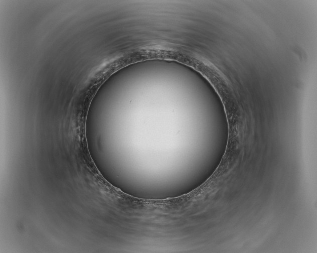 X0000110910870200906181341