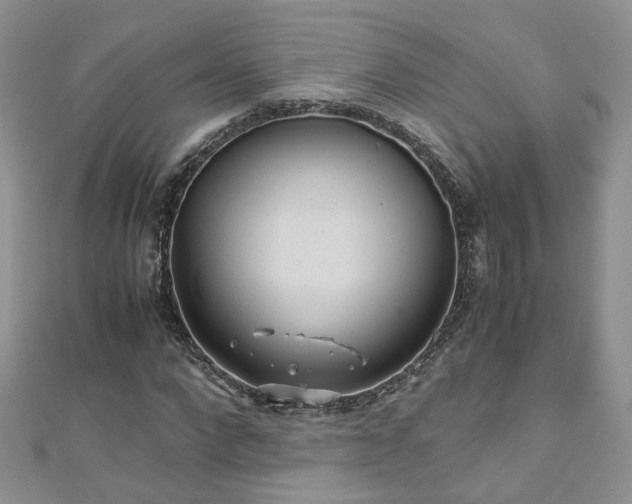 X0000110910872200906181341