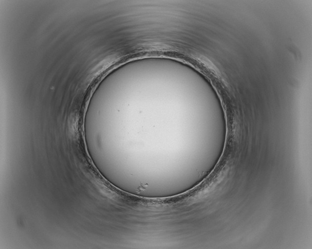 X0000110910873200906181341