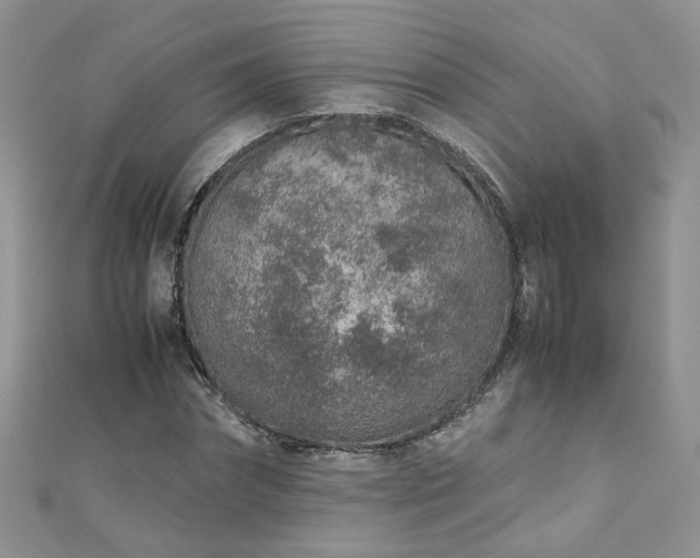 X0000110910874200906181341