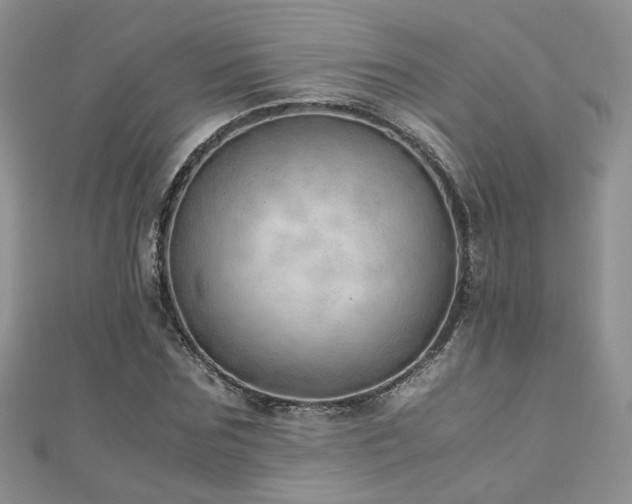 X0000110910875200906181341