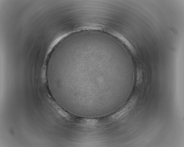 X0000110910878200906181341