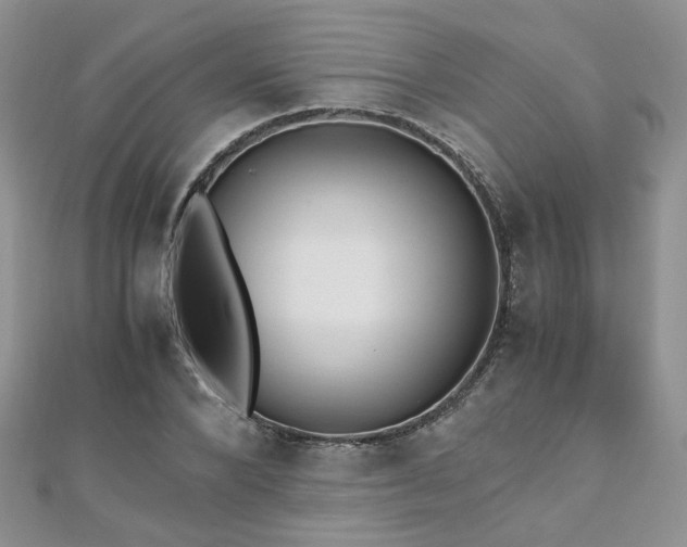 X0000110910880200906181341