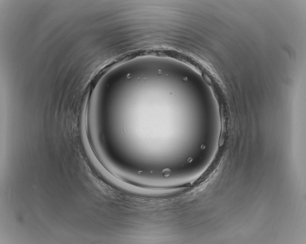 X0000110910881200906181341