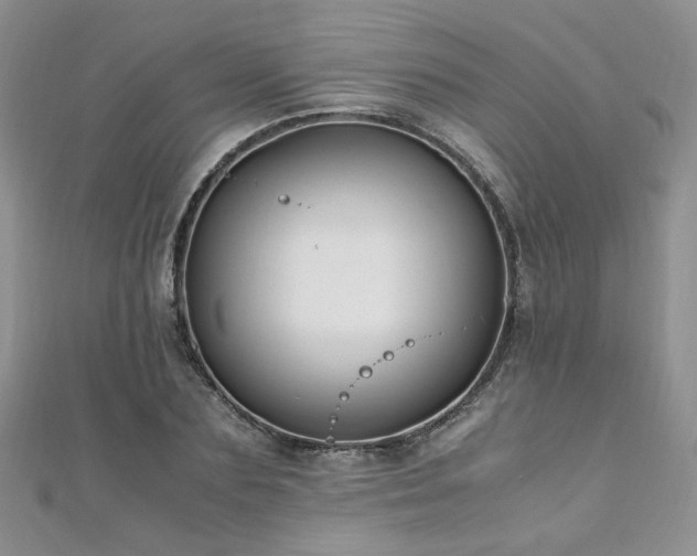 X0000110910883200906181341