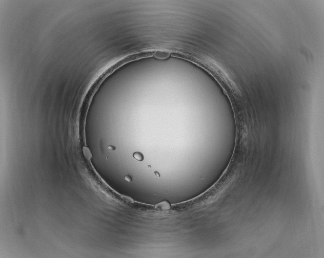 X0000110910884200906181341