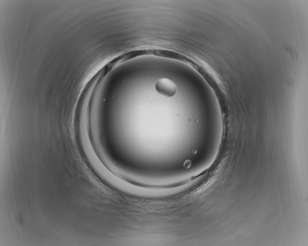 X0000110910885200906181341