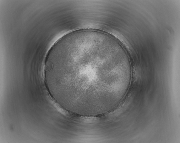 X0000110910886200906181341