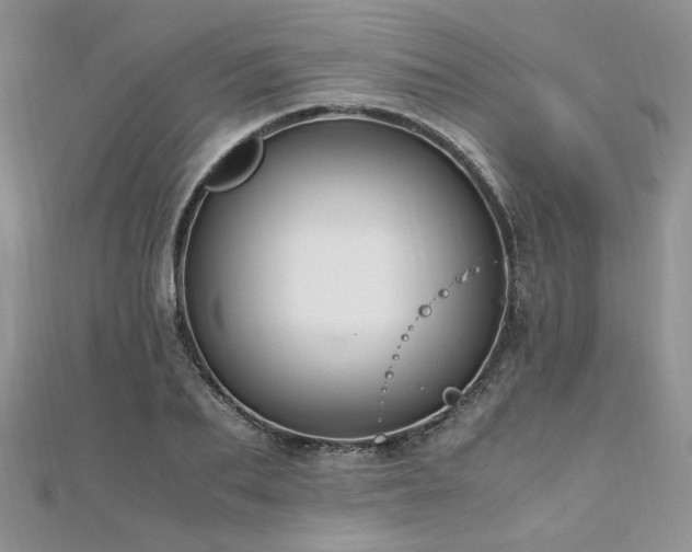 X0000110910887200906181341