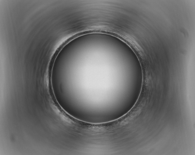 X0000110910888200906181341