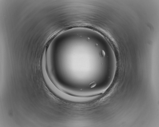 X0000110910889200906181341