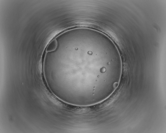 X0000110910891200906181341