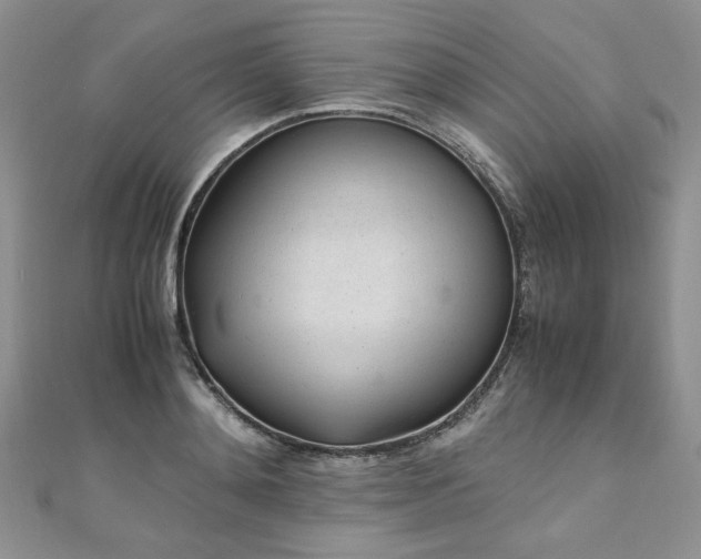 X0000110910892200906181341