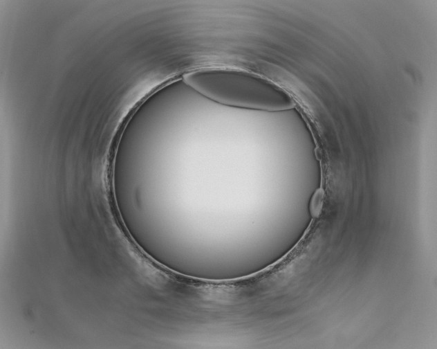 X0000110910893200906181341