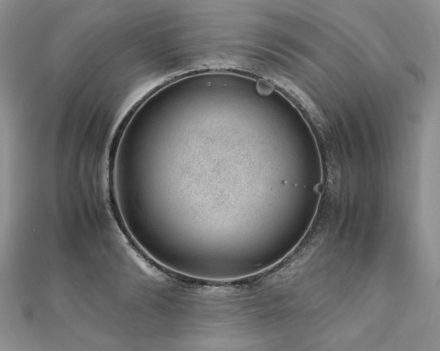 X0000110910894200906181341