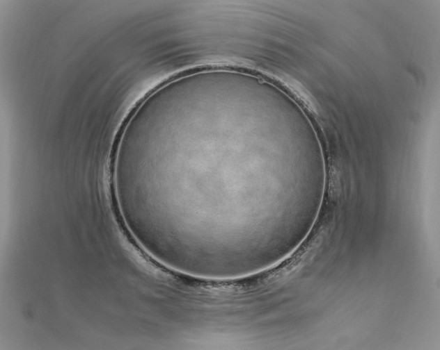 X0000110910895200906181341