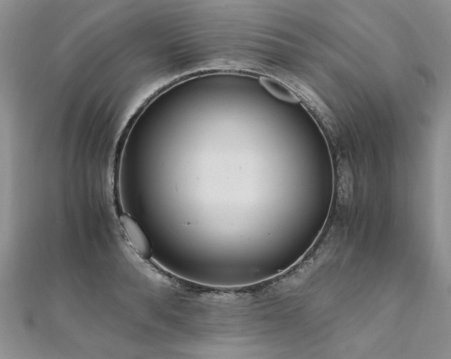 X0000110910896200906181341