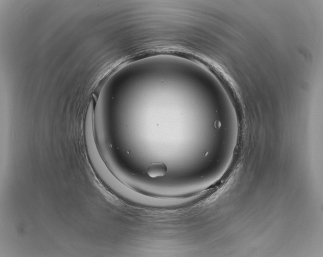 X0000110910897200906181341