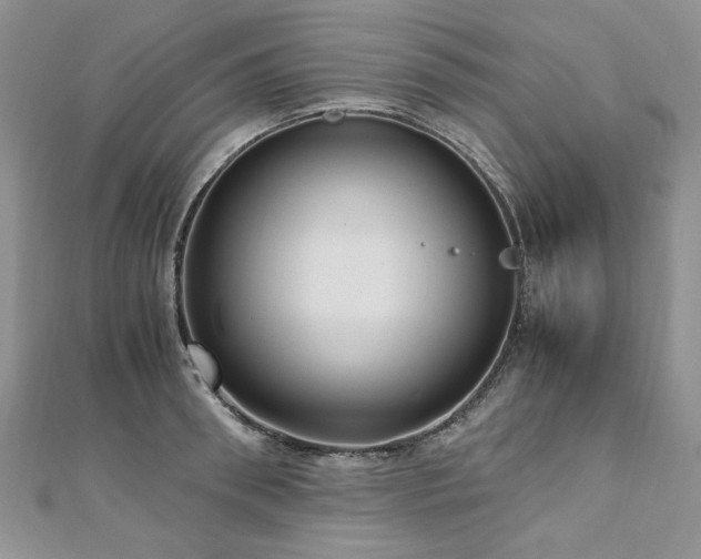 X0000110910898200906181341