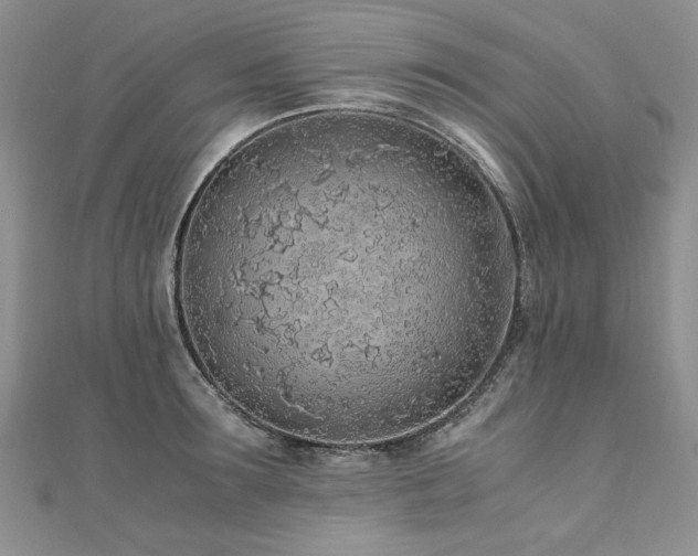 X0000110910899200906181341