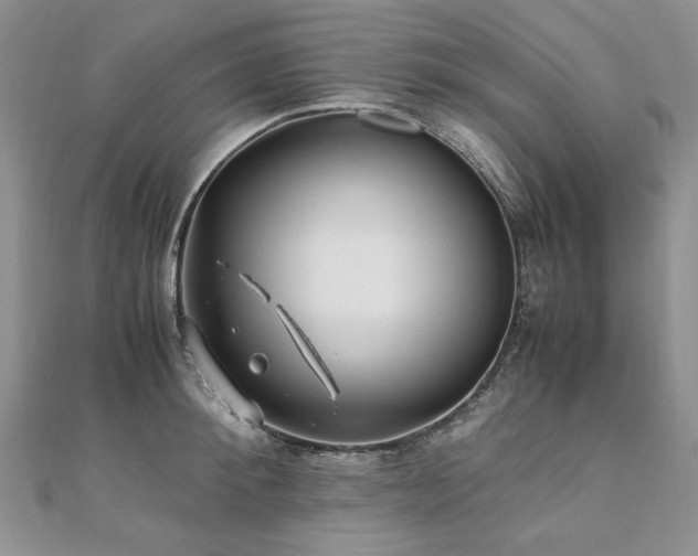 X0000110910900200906181341