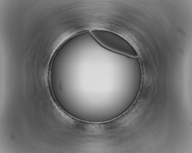 X0000110910901200906181341