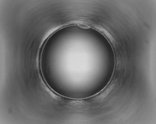 X0000110910902200906181341