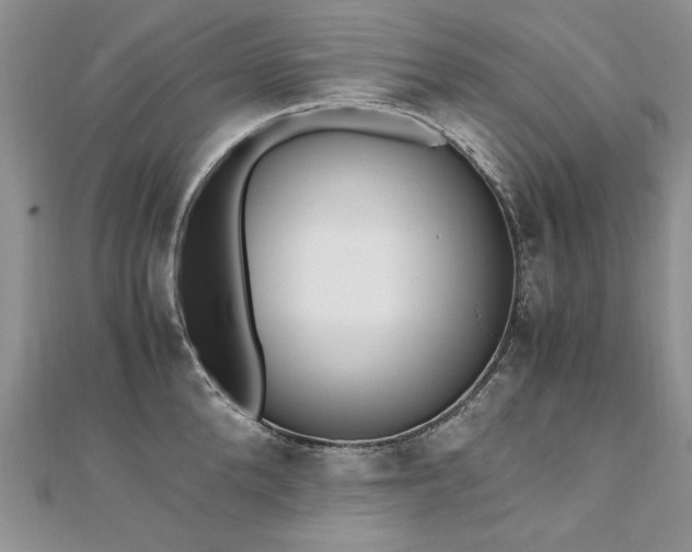 X0000110910904200906181340