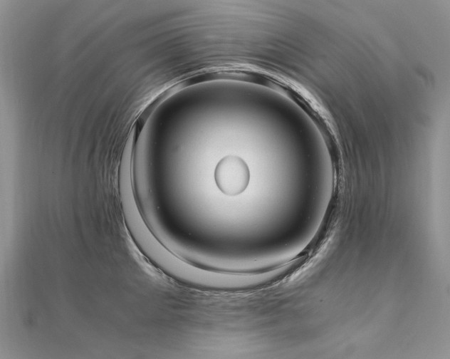 X0000110910905200906181340