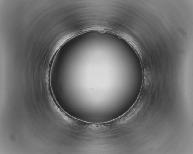 X0000110910906200906181340