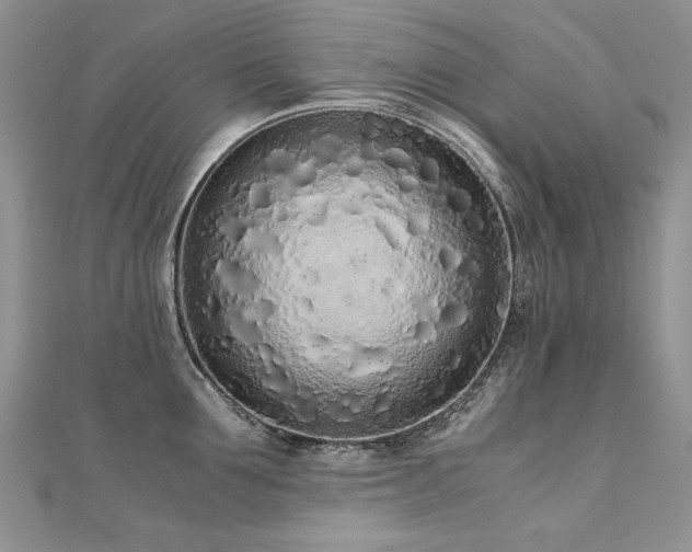 X0000110910907200906181340